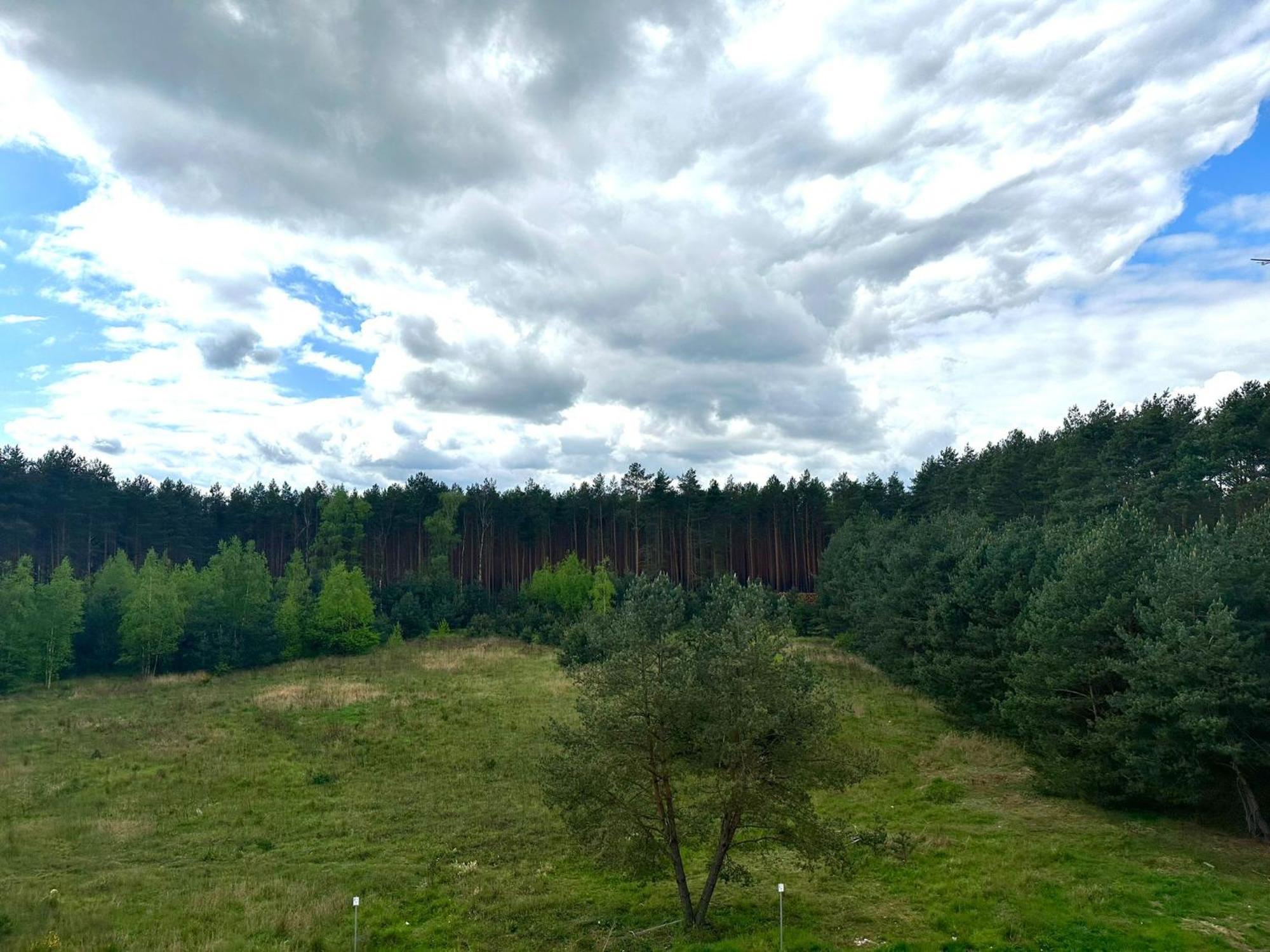 Apartment Comfort Family Zielona Gora (Lubuskie)